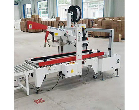 Lined Carton Packing Machine
